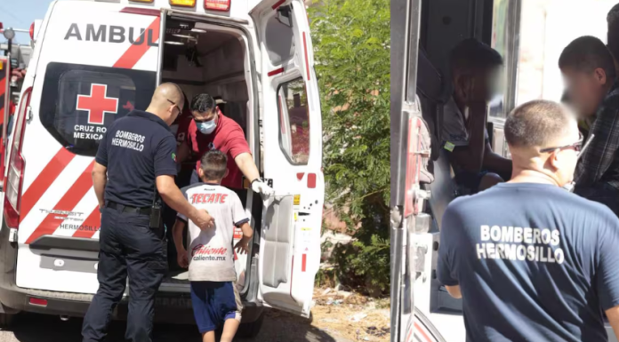 3 MENORES DE EDAD SON ATACADOS POR ABEJAS