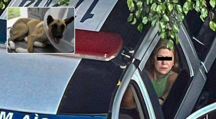 Captan a mujer arrastrando a un perro con su camioneta; es detenida