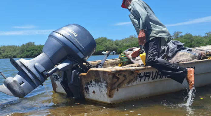 Esperan Pescadores fecha del levantamiento de la veda del camarón