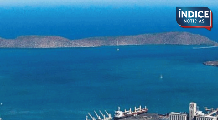 Guaymas crece en comercio exterior impulsado por exportación de graneles