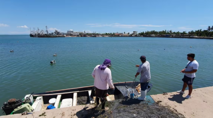 Afecta cierre del puerto de Yavaros por mal clima