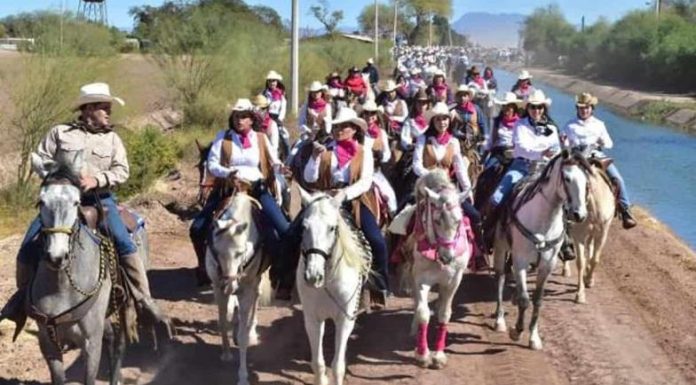 Aplican Ley de Protección Animal en Huatabampo