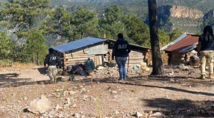 Buscan a hermanos de 6 y 10 años desaparecidos en Chihuahua