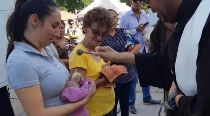 Bendicen a las mascotas por el Día de San Francisco de Asís