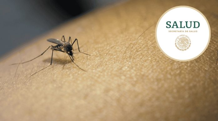 Reporta SSA 44 contagios de dengue en una semana