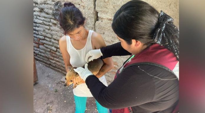 Van contra la rickettsia en Cajeme