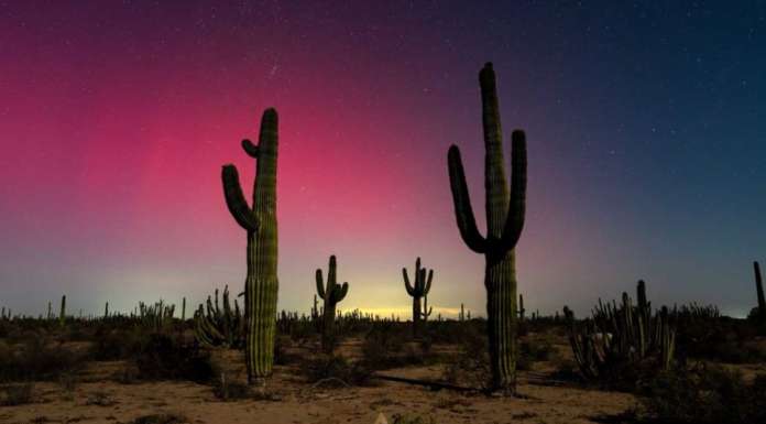 Aurora boreal en Sonora: así lucieron sus colores desde el desierto mexicano