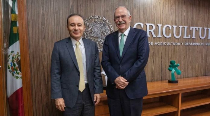 Gobernador Durazo trabaja en coordinación con Sader a favor del campo sonorense