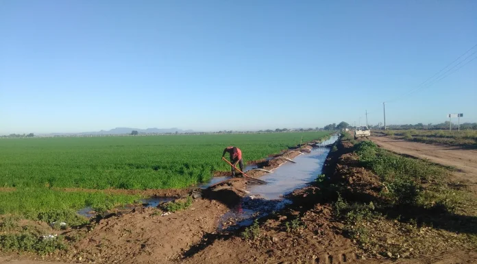 Sagarhpa buscará mejor presupuesto para el agro
