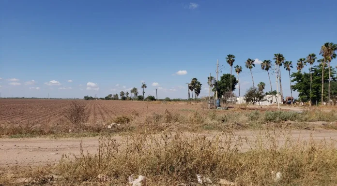 Convocan a productores a reunión por sequía en el Sur de Sonora