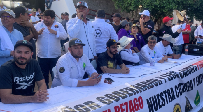 Benéfico aplazar prohibición de peleas de gallos a 3 años en Sonora; pelearemos de nuevo si intentan aplicarla: abogado