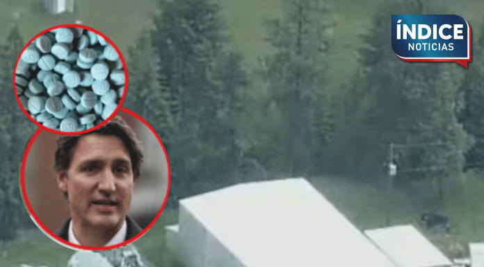 Desmantelan el “súper laboratorio” de drogas más grande en la historia de Canadá: Decomisan fentanilo, armas y precursores químicos