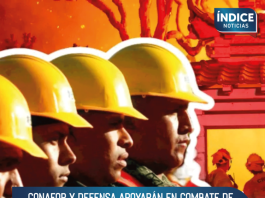 Conafor y Defensa apoyarán en combate de incendios en California