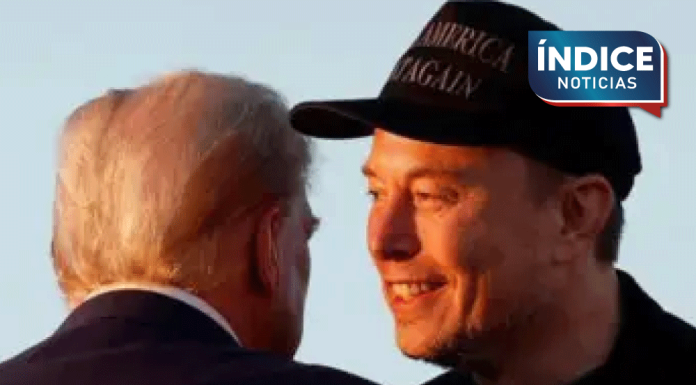 Trump quiere que Musk sea «más agresivo» en los recortes del gobierno de EU
