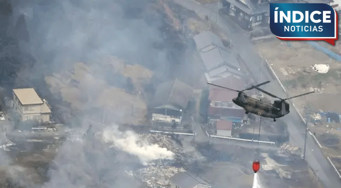 Japón enfrenta su peor incendio forestal en 50 años; arrasa 2 mil 600 hectáreas y deja un muerto