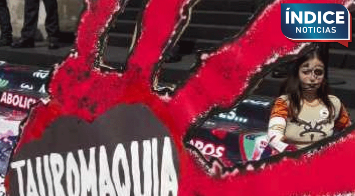 Decreto publicado: CDMX elimina corridas de toros con violencia