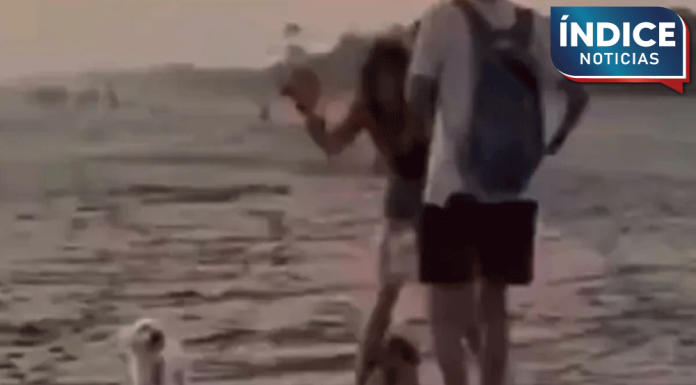 Turista extranjera agrede a perritos callejeros en Mazunte y desata indignación