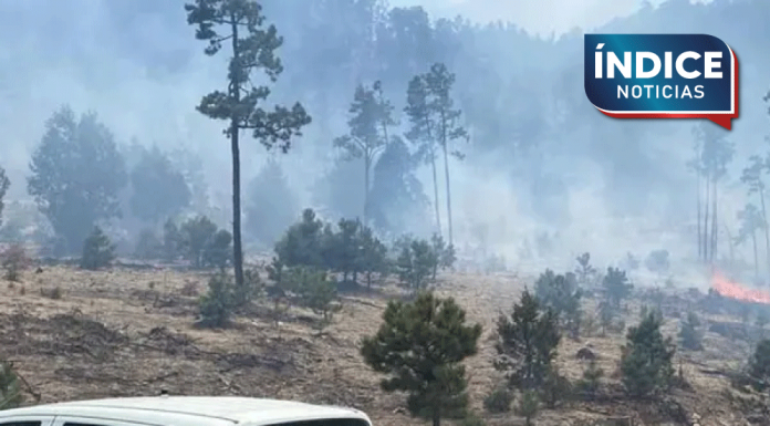 Incendios forestales en Chihuahua llegan a poblados Tarahumaras