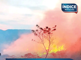 Cobran fuerza los incendios; hay activos 112, ubicados en 22 entidades