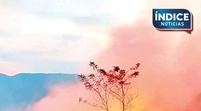 Cobran fuerza los incendios; hay activos 112, ubicados en 22 entidades