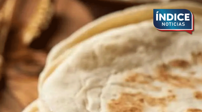 Crean tortilla de harina con probióticos que combate la desnutrición