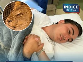 Alcalde de Nuevo León resulta herido por la mordida de un león