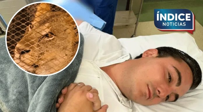 Alcalde de Nuevo León resulta herido por la mordida de un león