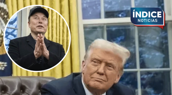 Estoy muy decepcionado con Elon», declara Donald Trump