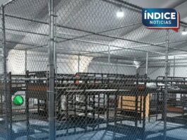 Liberan a hermanos mexicanos detenidos en centro Alcatraz Alligator