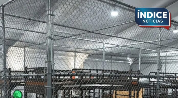 Liberan a hermanos mexicanos detenidos en centro Alcatraz Alligator