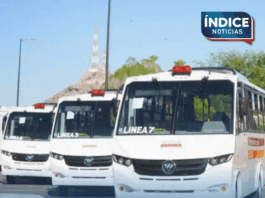 Gobierno de Sonora suma ya 371 unidades de transporte público