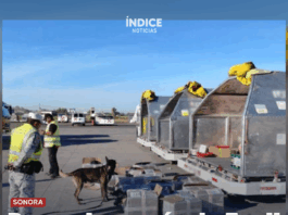 Decomisan más de 5 mil vapeadores en el aeropuerto de Hermosillo