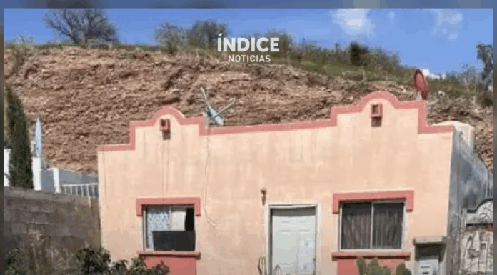 Investigan caso de más de 50 perros rescatados en un domicilio de Nogales