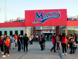 HISTÓRICA INVERSIÓN DE 150 MDP PARA EL ESTADIO “CICLÓN” ECHEVERRÍA EN EL REGRESO DE LOS MAYOS DE NAVOJOA